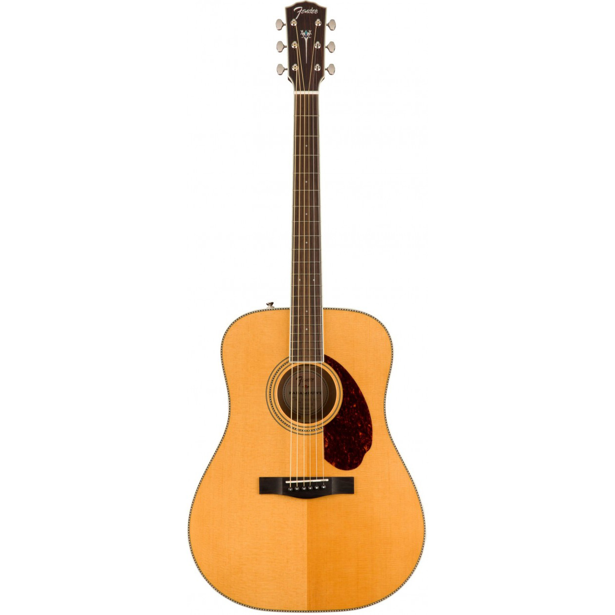 Fender PM-1E Dread Std Nat w/case OV Гитары акустические